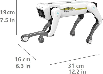 Smart Dog Multifunctional Toy ©