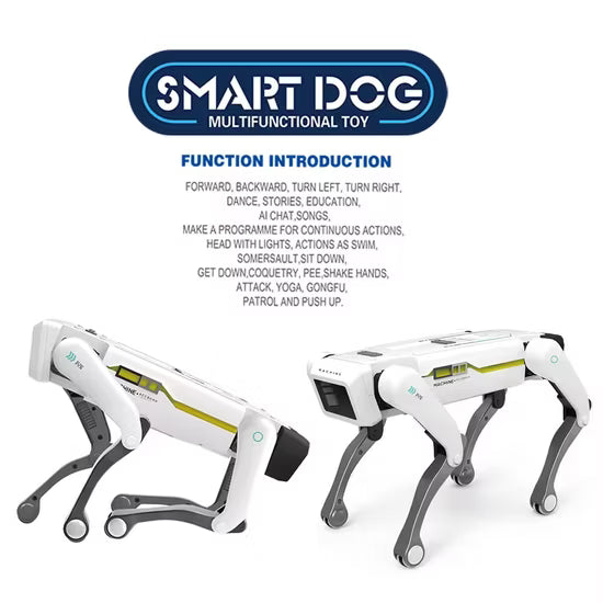 Smart Dog Multifunctional Toy ©