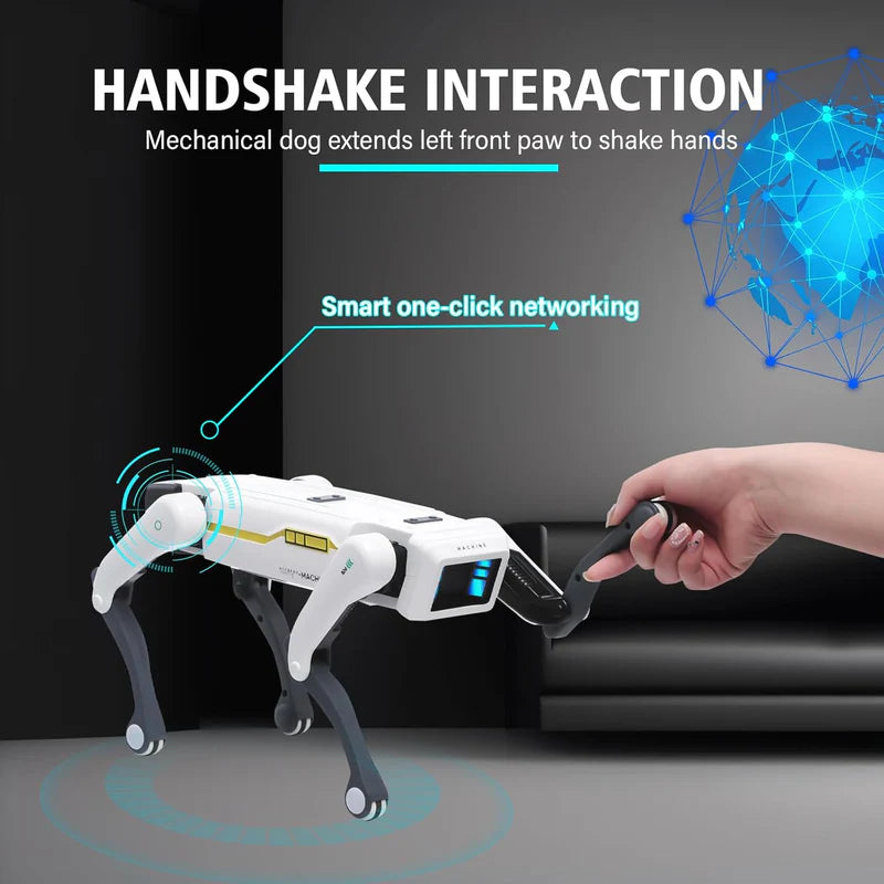 Smart Dog Multifunctional Toy ©