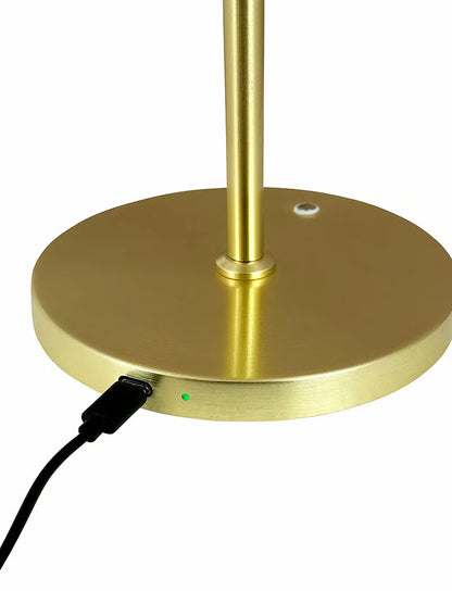 LED Desk Lamp